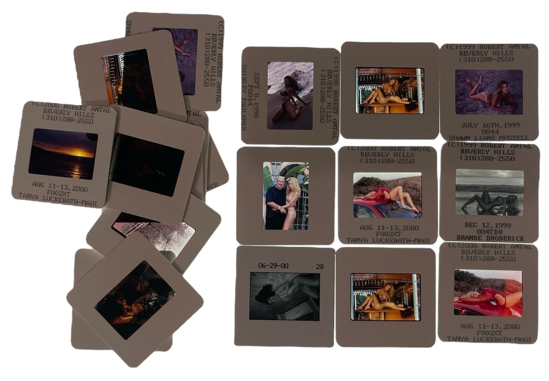 Photo Slide Collection: Photo Slide Collection