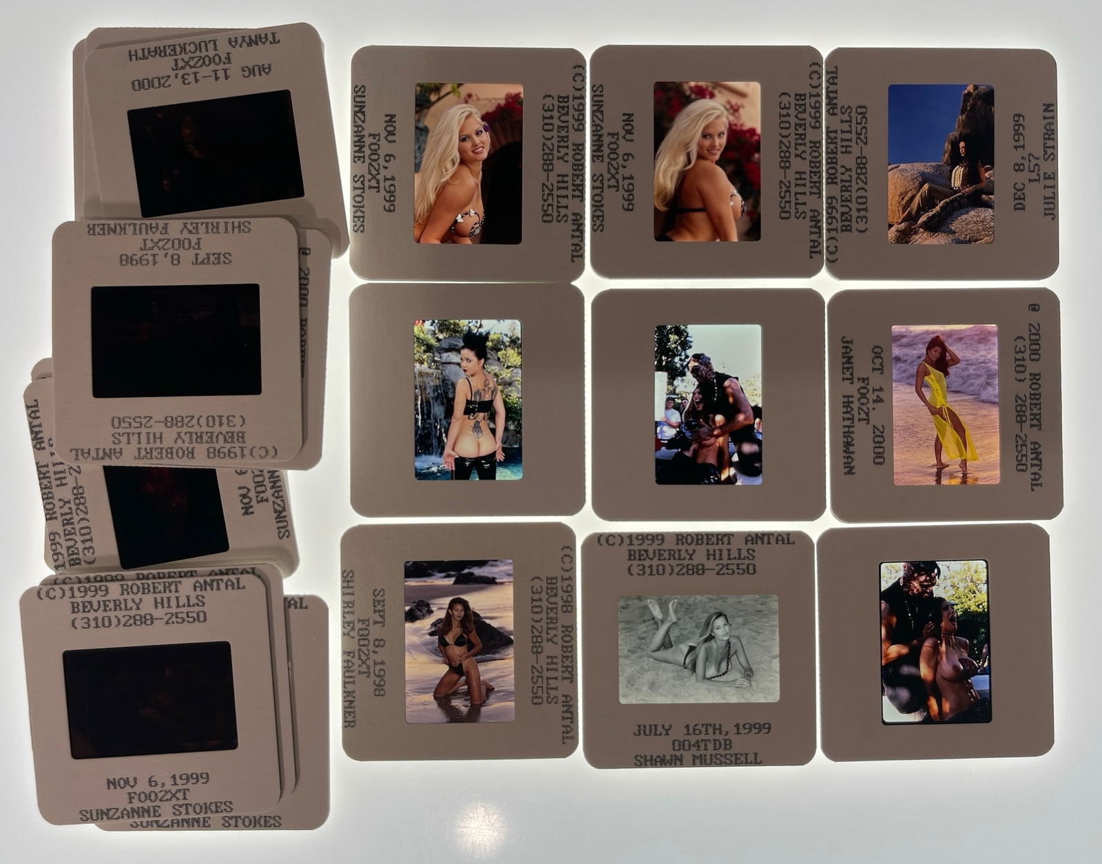 Photo Slide Collection: Photo Slide Collection