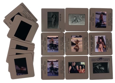Photo Slide Collection