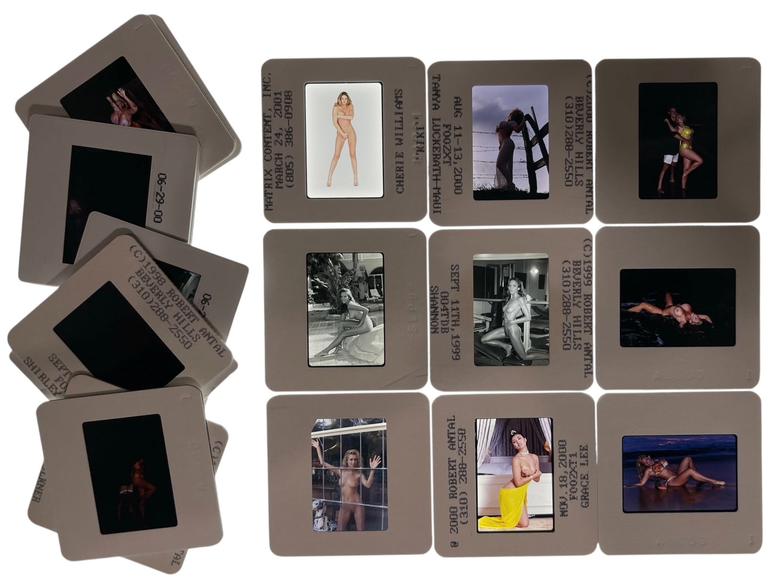 Photo Slide Collection: Photo Slide Collection