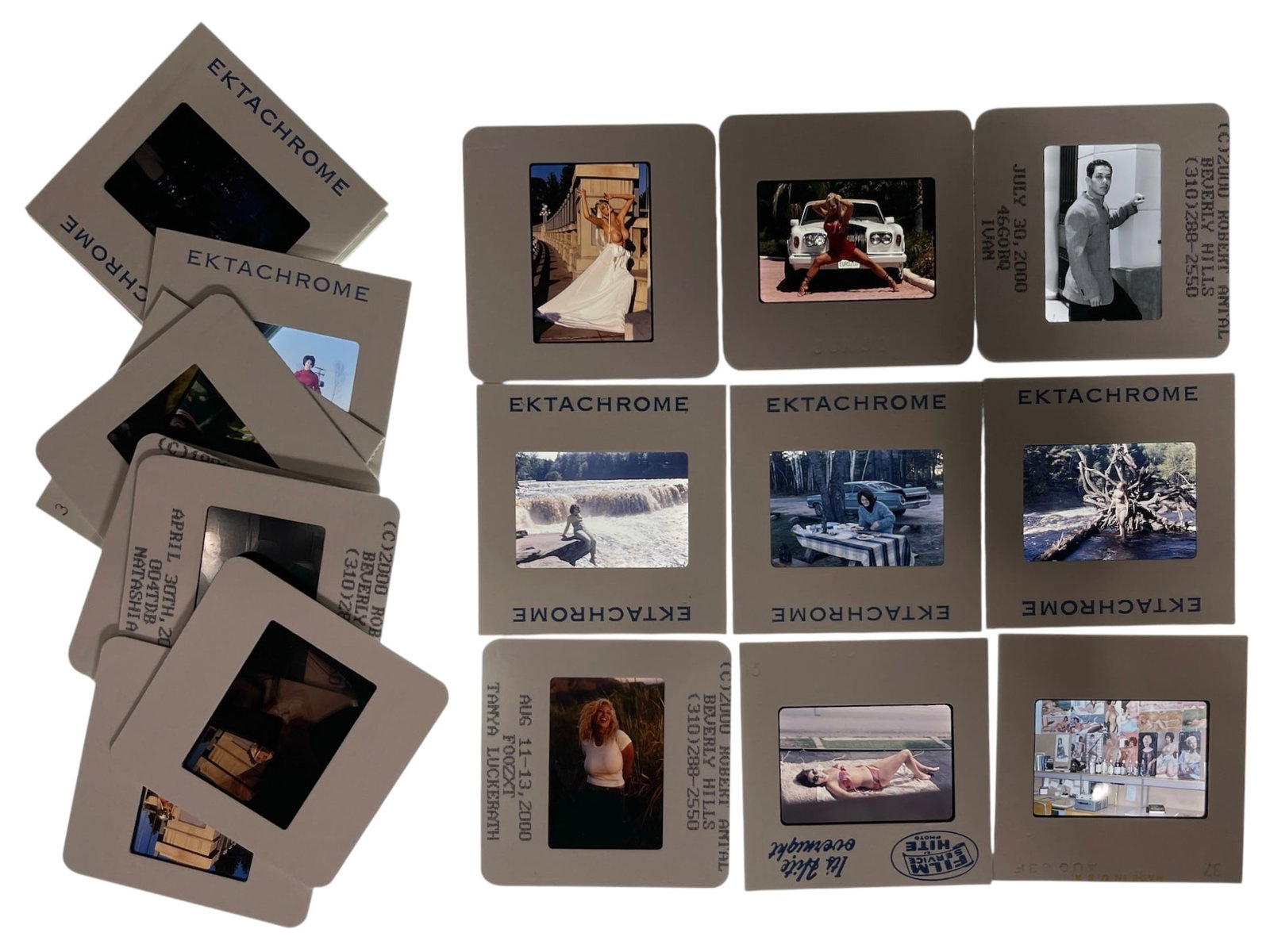 Photo Slide Collection: Photo Slide Collection