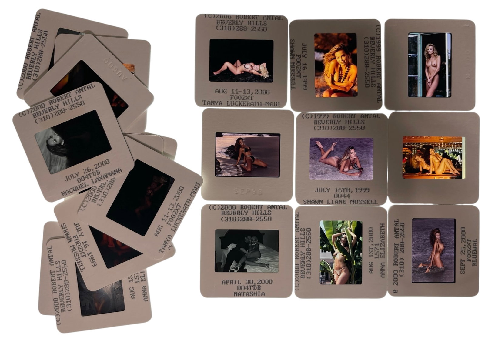 Photo Slide Collection: Photo Slide Collection
