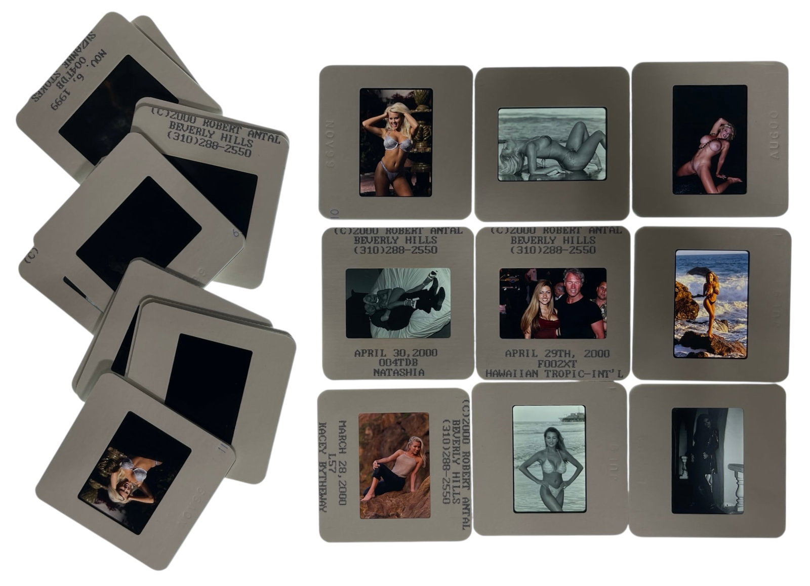 Photo Slide Collection: Photo Slide Collection