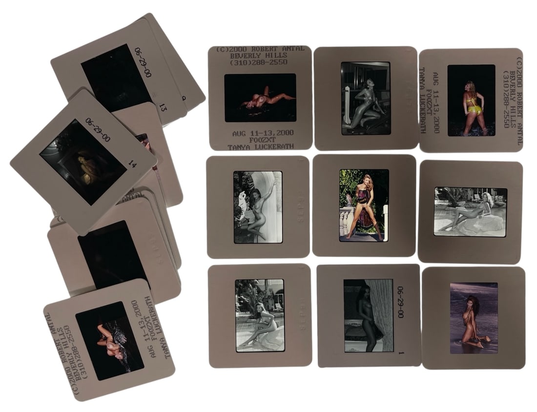 Photo Slide Collection: Photo Slide Collection