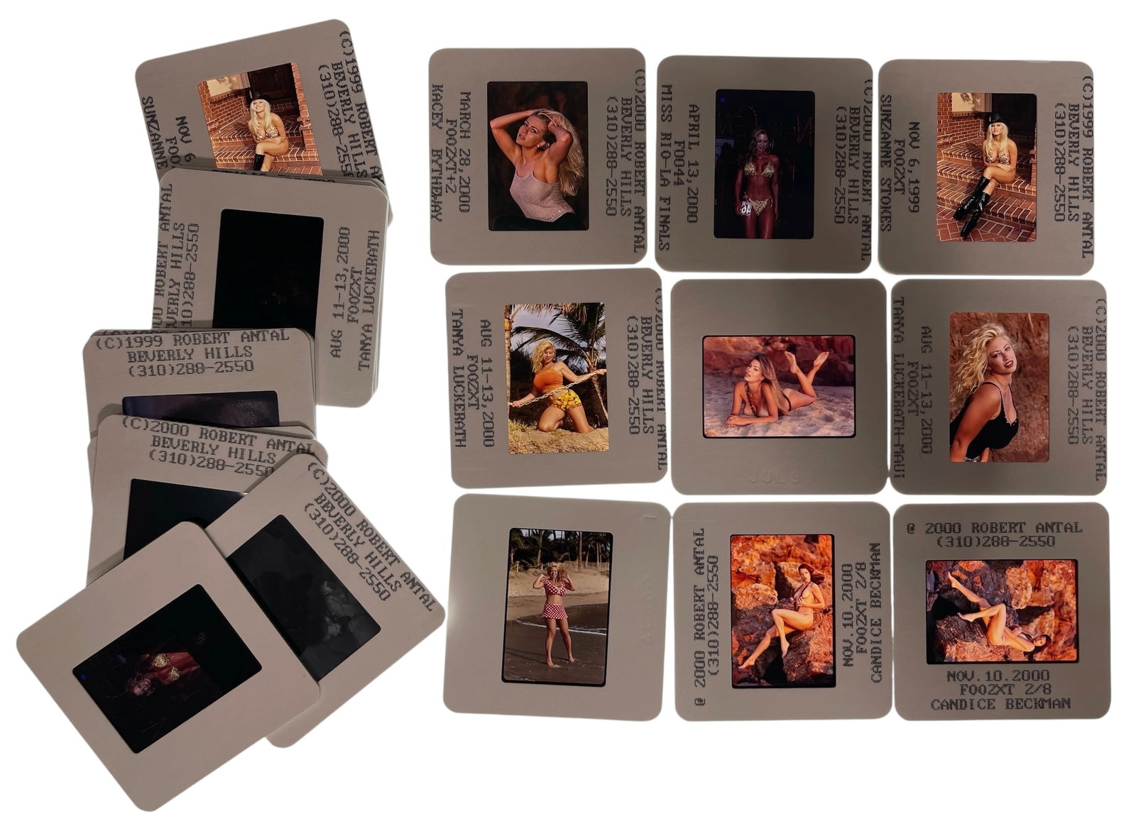 Photo Slide Collection: Photo Slide Collection