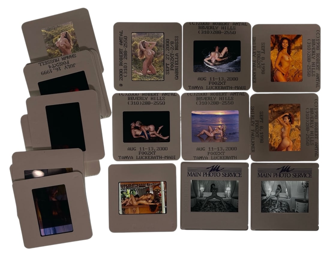 Photo Slide Collection: Photo Slide Collection