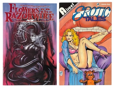 Comic Book Collection