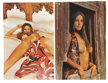Vintage Poster Collection