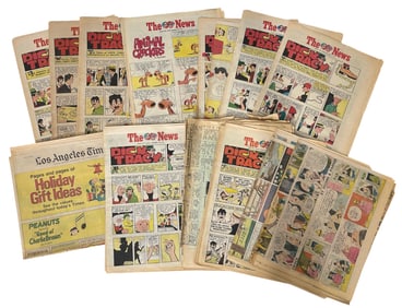 Comic Newpaper Collection
