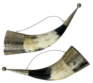 Pair of Horns