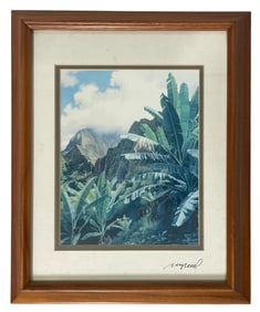 Kalalau Lookout By Gary Reed | Framed Artwork