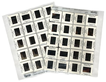 Photo Slide Collection