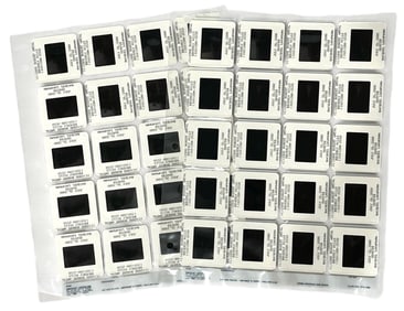 Photo Slide Collection