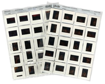 Photo Slide Collection