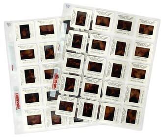 Photo Slide Collection