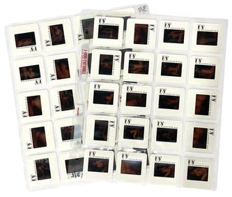 Photo Slide Collection