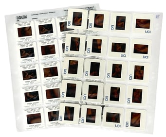 Photo Slide Collection