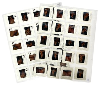 Photo Slide Collection