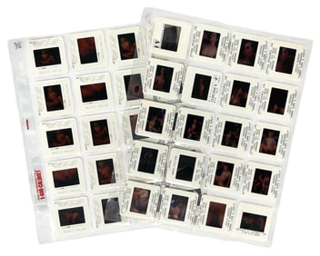 Photo Slide Collection