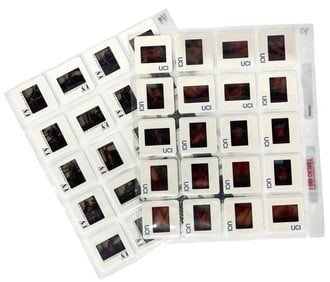 Photo Slide Collection