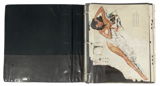 Magazine Page Collection