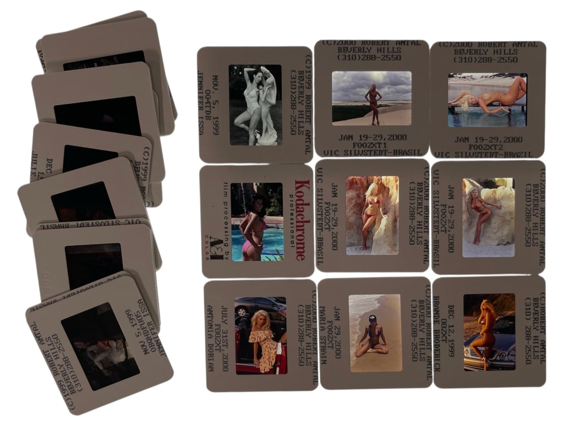 Photo Slide Collection: Photo Slide Collection