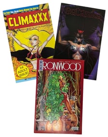 Comic Book Collection | 3 pc.