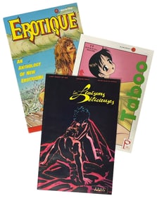 Comic Book Collection | 3 pc.