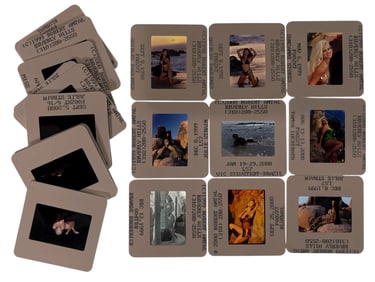 Photo Slide Collection | 20 pc.