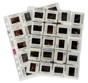 Photo Slide Collection