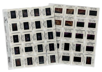 Photo Slide Collection