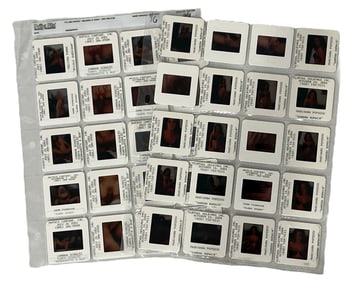 Photo Slide Collection