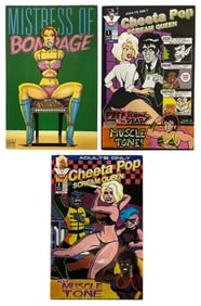 Comic Book Collection | 3 pc.