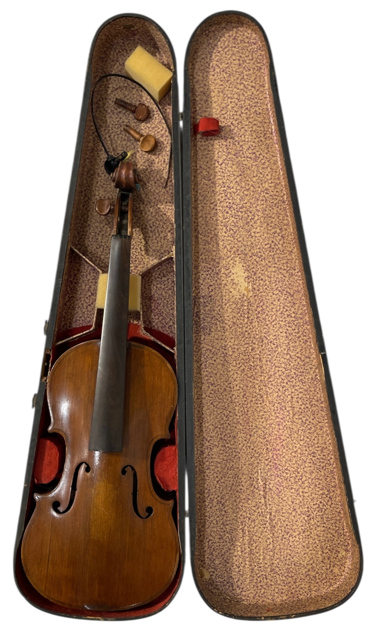 Violin: Violin
