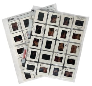 Photo Silde Collection