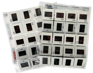 Photo Silde Collection