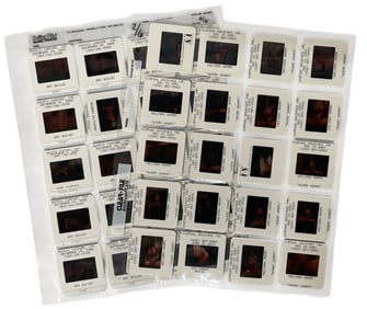 Photo Silde Collection