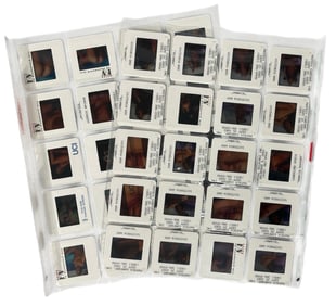 Photo Silde Collection