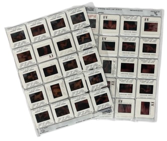 Photo Silde Collection