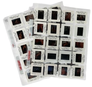 Photo Silde Collection