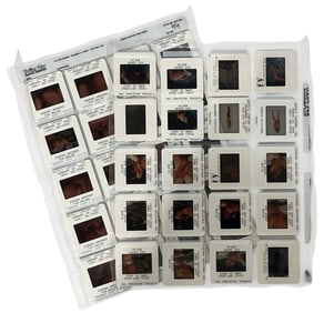 Photo Silde Collection