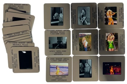 Photo Silde Collection