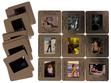 Photo Silde Collection