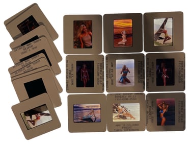 Photo Silde Collection