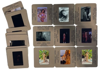 Photo Silde Collection