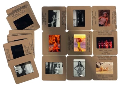 Photo Silde Collection