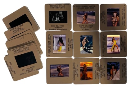 Photo Silde Collection