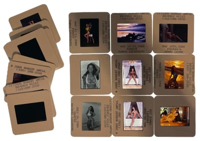 Photo Silde Collection