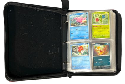 Pokemon Trading Card Collection | 368 pc.