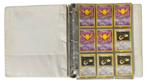 Pokemon Trading Card Collection | 250 pc.